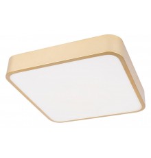 Накладной светильник Loft it 10228/C Flims