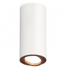 Накладной светильник Ambrella Light XS7442005 XS