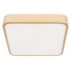 Накладной светильник Loft it 10228/C Flims