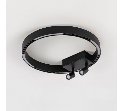 Накладной светильник Ambrella Light FL5806 FL Накладной светильник Ambrella Light FL5806 FL