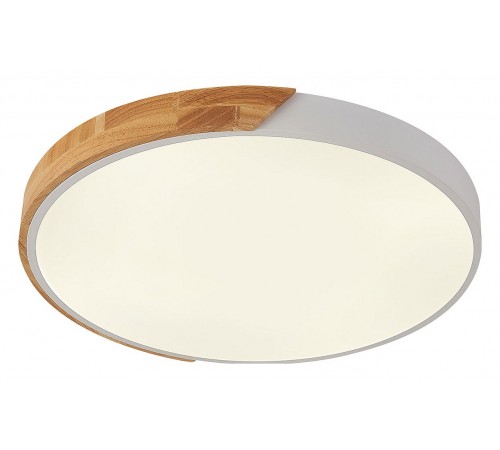 Накладной светильник Natali Kovaltseva LED LAMPS 81182 Scandinavian Накладной светильник Natali Kovaltseva LED LAMPS 81182 Scandinavian