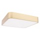 Накладной светильник Loft it 10228/C Flims