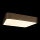 Накладной светильник Loft it 10228/C Flims