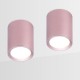 Накладной светильник Ambrella Light TN217 TN