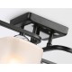 Накладной светильник Ambrella Light TR303224 TR