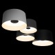 Потолочная люстра Loft it 10360/4 Duo