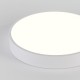 Накладной светильник Natali Kovaltseva LED LAMPS 81111/5C