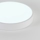 Накладной светильник Natali Kovaltseva LED LAMPS 81111/5C