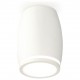 Накладной светильник Ambrella Light XS1122020 XS