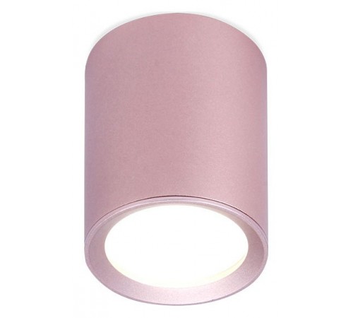 Накладной светильник Ambrella Light TN217 TN Накладной светильник Ambrella Light TN217 TN
