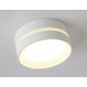 Накладной светильник Ambrella Light TN5391 TN
