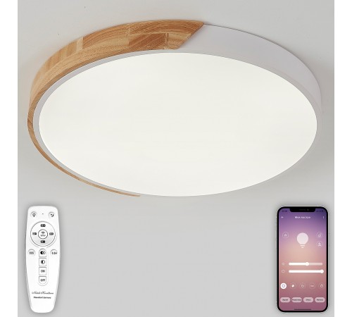 Накладной светильник Natali Kovaltseva LED LAMPS 81182 Scandinavian Накладной светильник Natali Kovaltseva LED LAMPS 81182 Scandinavian
