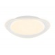 Накладной светильник Ambrella Light FF44 FF