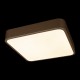 Накладной светильник Loft it 10228/C Flims