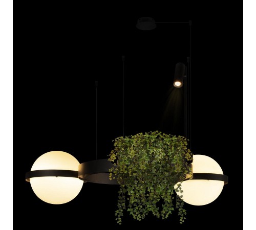 Подвесной светильник Loft it 10121/2 Jardin Подвесной светильник Loft it 10121/2 Jardin