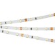 Лента светодиодная Arlight 028610(2) RT