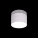 Накладной светильник Loft it 10179/7 White Photon