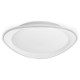 Накладной светильник Ambrella Light FF44 FF