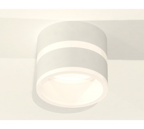 Накладной светильник Ambrella Light XS8101019 XS Накладной светильник Ambrella Light XS8101019 XS