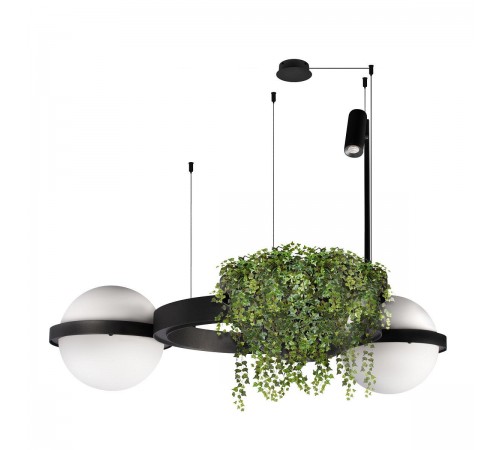 Подвесной светильник Loft it 10121/2 Jardin Подвесной светильник Loft it 10121/2 Jardin