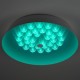 Накладной светильник Эра SPB-6-80-RC Locus RGB