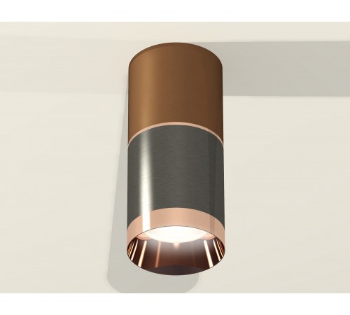 Накладной светильник Ambrella Light XS6303021 XS