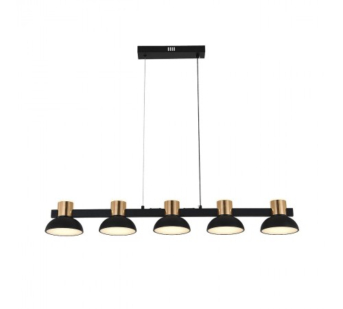 Подвесной светильник Indigo 11059/5PL Black Traforo Подвесной светильник Indigo 11059/5PL Black Traforo