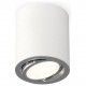 Накладной светильник Ambrella Light XS7421002 XS