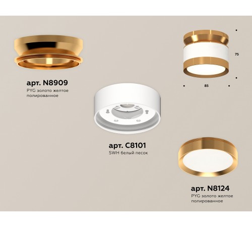 Накладной светильник Ambrella Light XS8101060 XS Накладной светильник Ambrella Light XS8101060 XS