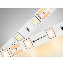 Лента светодиодная Ambrella Light GS1001 GS