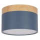 Накладной светильник Loft it 10162 Blue Grape