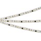 Лента светодиодная Arlight 049440 SPI-SE-A120-10mm 24V