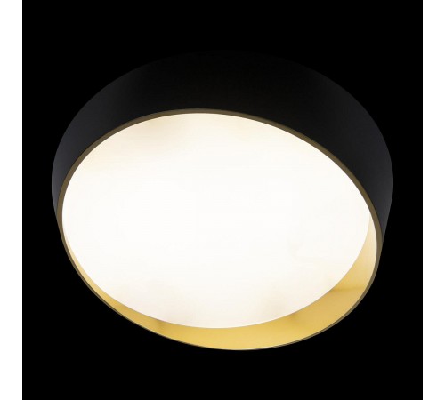 Накладной светильник Loft it 10199 Black Coin Накладной светильник Loft it 10199 Black Coin