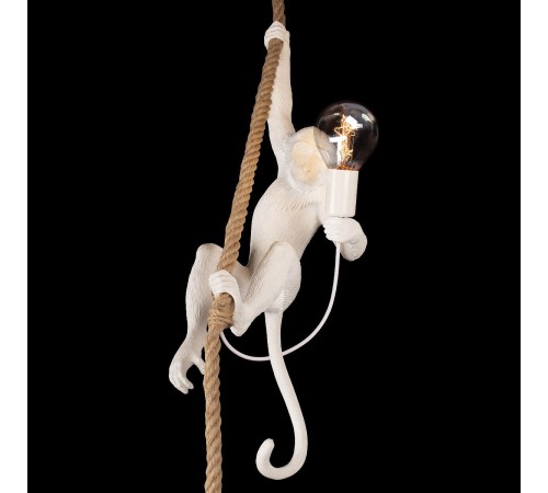 Подвесной светильник Loft it 10314P Monkey