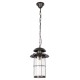 Подвесной светильник Loft it 100015P Palermo