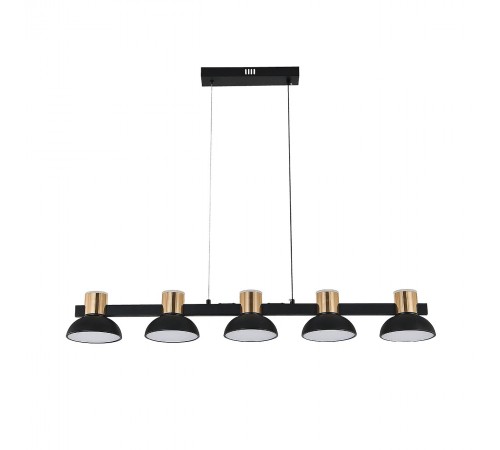 Подвесной светильник Indigo 11059/5PL Black Traforo Подвесной светильник Indigo 11059/5PL Black Traforo