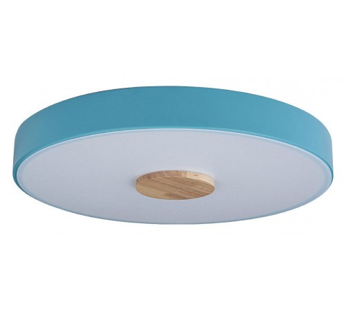 Накладной светильник Loft it 10003/24 Blue Axel 2 Накладной светильник Loft it 10003/24 Blue Axel 2