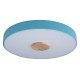 Накладной светильник Loft it 10003/24 Blue Axel 2