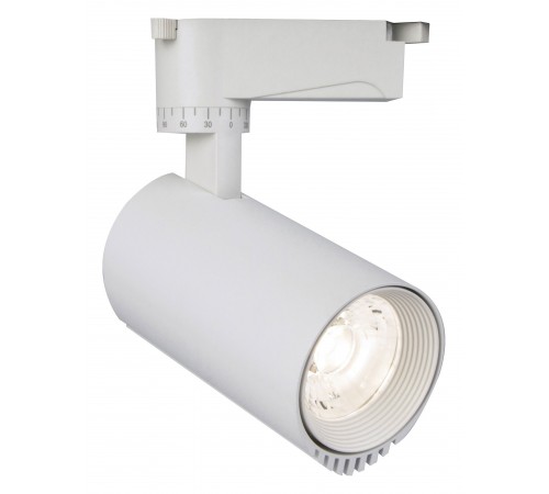 Светильник на штанге Escada 20031TRA/03LED SWH 20031