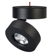 Светильник на штанге Arlight 025443(1) MONA