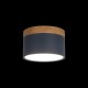 Накладной светильник Loft it 10162 Blue Grape