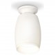 Накладной светильник Ambrella Light XS1122040 XS