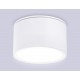 Накладной светильник Ambrella Light TN6522 TN