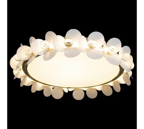 Накладной светильник Loft it 10175 Bride Накладной светильник Loft it 10175 Bride