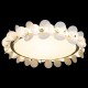 Накладной светильник Loft it 10175 Bride