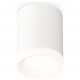 Накладной светильник Ambrella Light XS7421024 XS