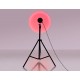 Настольная лампа декоративная Ambrella Light DE8387 DE