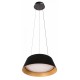 Подвесной светильник Loft it 10224P Black Evans