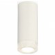 Накладной светильник Ambrella Light XS7442010 XS
