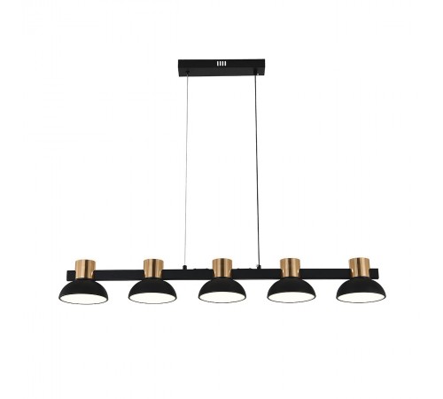 Подвесной светильник Indigo 11059/5PL Black Traforo Подвесной светильник Indigo 11059/5PL Black Traforo